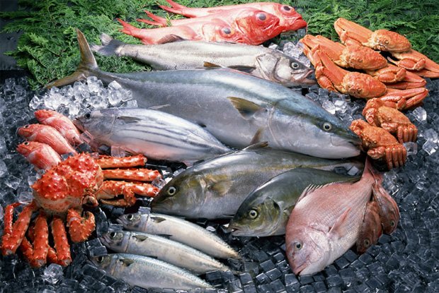 На каменной тропинке и траве лежит несколько видов рыб и морепродуктов