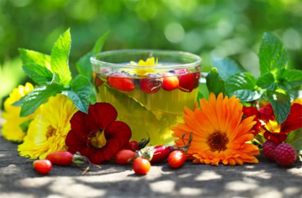 В прозрачной чашке целебный чай рядом с цветками и листьями растений