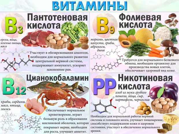 Плакат с продуктами, содержащими витамины В3, В9, В12 и РР