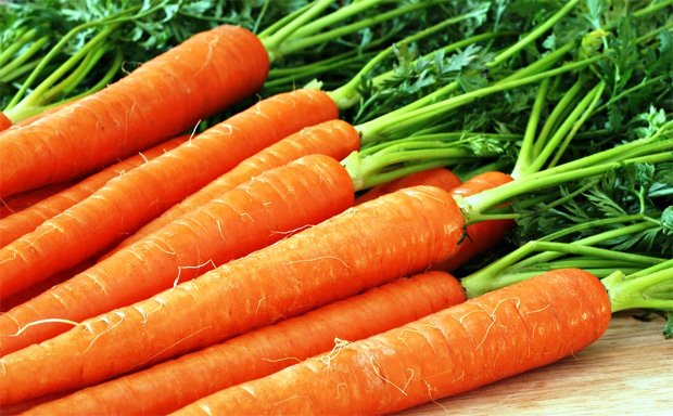 На столе лежит пучок сочной спелой морковки с ботвой
