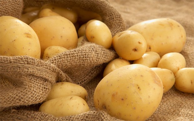 На мешковине лежит несколько клубней зрелого картофеля