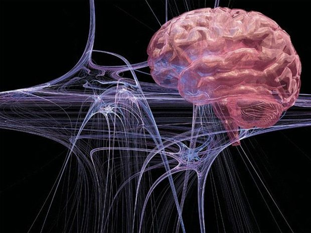 Изображение головного мозга человека и нейронных нитей
