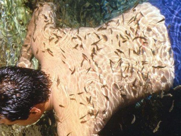 Мужчина проходит процедуру лечения кожи с помощью рыбок